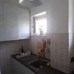 Octopus House Appartement